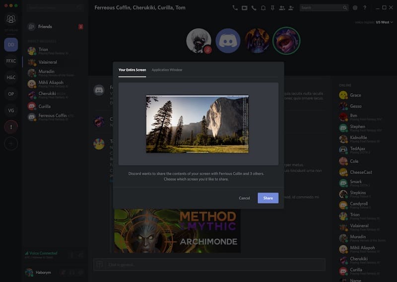 Discord video chat