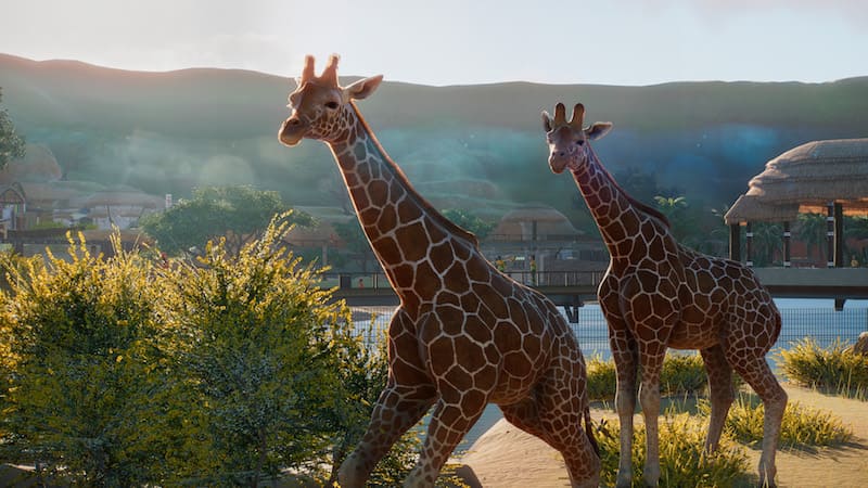 Jirafas de planet zoo